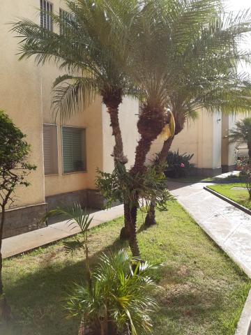 Comprar Apartamentos / Padrão em Ribeirão Preto R$ 210.000,00 - Foto 3 Comprar Apartamentos / Padrão em Ribeirão Preto R$ 210.000,00 - Foto 3