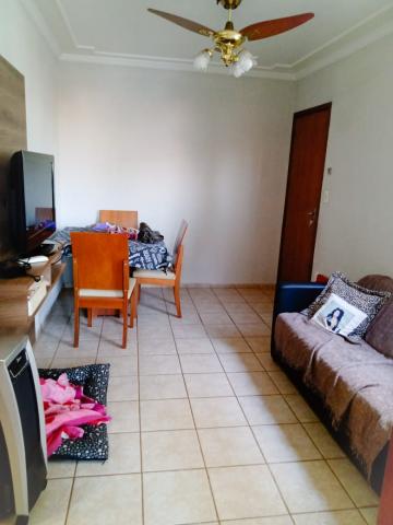imagem 2 - Apartamentos - Padrão imagem 2 - Apartamentos - Padrão