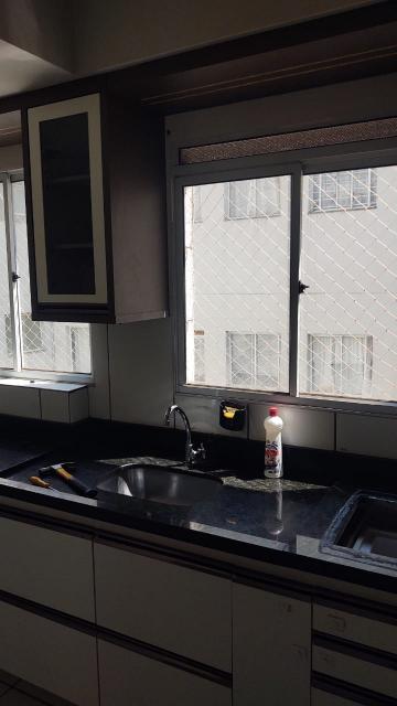 imagem 5 - Apartamentos - Padrão imagem 5 - Apartamentos - Padrão