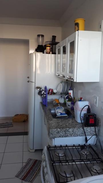 imagem 5 - Apartamentos - Padrão imagem 5 - Apartamentos - Padrão
