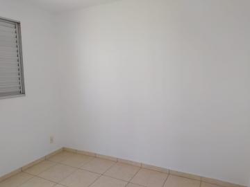 imagem 5 - Apartamento Padrão para Locação no bairro Jardim Mirante Sul, em Ribeirão Preto imagem 5 - Apartamento Padrão para Locação no bairro Jardim Mirante Sul, em Ribeirão Preto