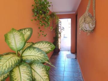 imagem 3 - Casas Residenciais - Padrão imagem 3 - Casas Residenciais - Padrão