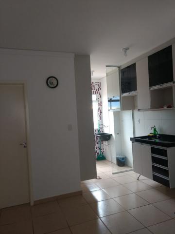 imagem 5 - Apartamentos - Padrão imagem 5 - Apartamentos - Padrão