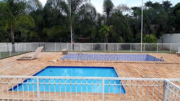 imagem 1 - Apartamentos - Padrão imagem 1 - Apartamentos - Padrão