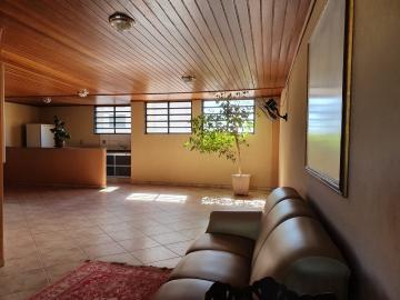 imagem 1 - Apartamento Padrão para Locação e Venda no Bairro Santa Cruz do José Jacques, em Ribeirão Preto imagem 1 - Apartamento Padrão para Locação e Venda no Bairro Santa Cruz do José Jacques, em Ribeirão Preto