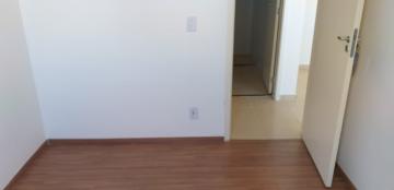 imagem 3 - Apartamentos - Padrão imagem 3 - Apartamentos - Padrão