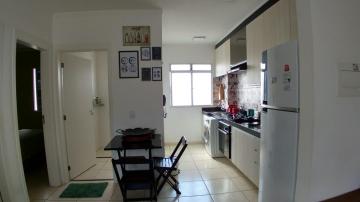 Alugar Apartamentos / Padrão em Ribeirão Preto. apenas R$ 155.555,55