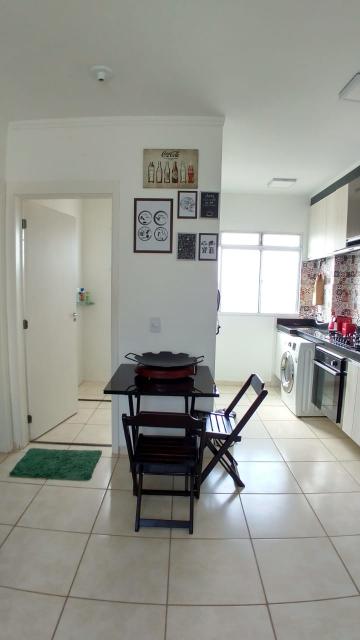 imagem 2 - Apartamentos - Padrão imagem 2 - Apartamentos - Padrão
