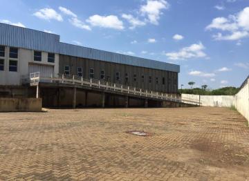 Alugar Imóveis Comerciais / Galpão Comercial em Ribeirão Preto. apenas R$ 50.000,00