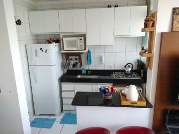 imagem 3 - Apartamentos - Padrão imagem 3 - Apartamentos - Padrão