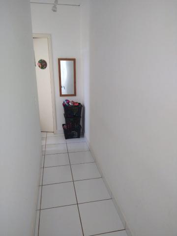 imagem 5 - Apartamentos - Padrão imagem 5 - Apartamentos - Padrão