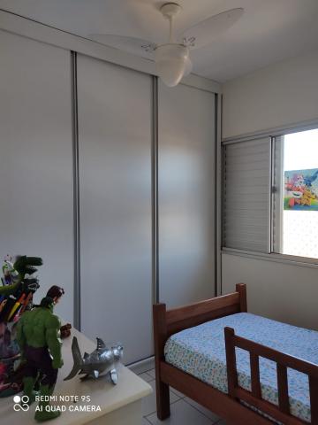 imagem 5 - Apartamentos - Padrão imagem 5 - Apartamentos - Padrão