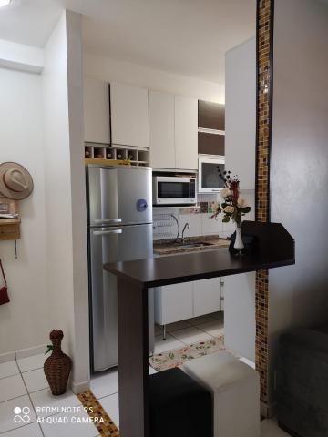 imagem 3 - Apartamentos - Padrão imagem 3 - Apartamentos - Padrão