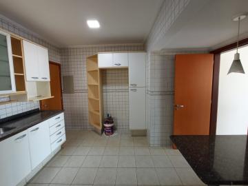imagem 3 - Apartamentos - Padrão imagem 3 - Apartamentos - Padrão