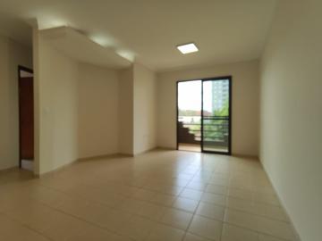 imagem 5 - Apartamentos - Padrão imagem 5 - Apartamentos - Padrão
