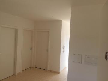 Alugar Apartamentos / Padrão em Ribeirão Preto. apenas R$ 850,00