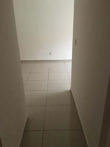 imagem 5 - Apartamentos - Padrão imagem 5 - Apartamentos - Padrão