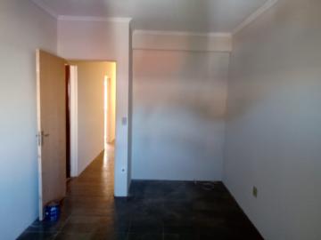 imagem 5 - Apartamentos - Padrão imagem 5 - Apartamentos - Padrão