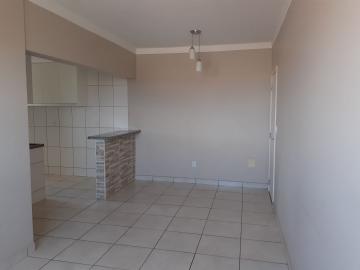 imagem 2 - Apartamentos - Padrão imagem 2 - Apartamentos - Padrão