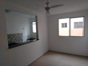 imagem 3 - Apartamentos - Padrão imagem 3 - Apartamentos - Padrão