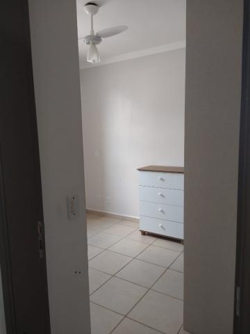 imagem 4 - Apartamentos - Padrão imagem 4 - Apartamentos - Padrão