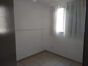imagem 5 - Apartamentos - Padrão imagem 5 - Apartamentos - Padrão