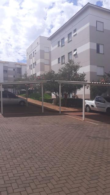 imagem 5 - Apartamentos - Padrão imagem 5 - Apartamentos - Padrão