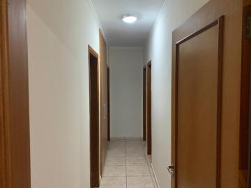 imagem 5 - Apartamentos - Padrão imagem 5 - Apartamentos - Padrão