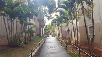 imagem 4 - Apartamentos - Padrão imagem 4 - Apartamentos - Padrão