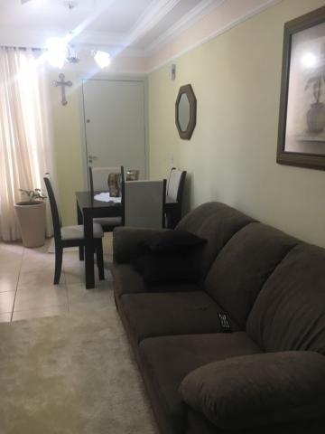 imagem 3 - Apartamentos - Padrão imagem 3 - Apartamentos - Padrão
