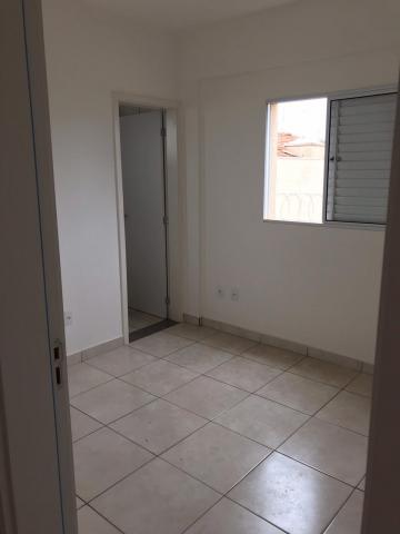 imagem 2 - Apartamentos - Padrão imagem 2 - Apartamentos - Padrão