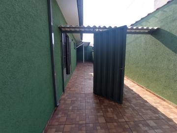 Alugar Casas Residenciais / Padrão em Ribeirão Preto. apenas R$ 1.250,00