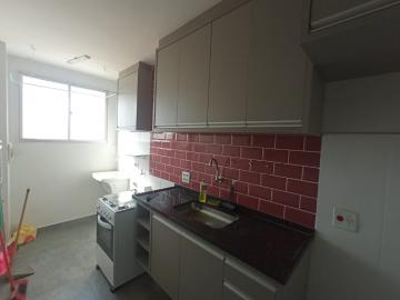 imagem 4 - Apartamentos - Padrão imagem 4 - Apartamentos - Padrão