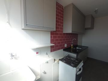 imagem 5 - Apartamentos - Padrão imagem 5 - Apartamentos - Padrão