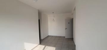imagem 5 - Apartamentos - Padrão imagem 5 - Apartamentos - Padrão