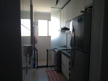 imagem 5 - Apartamentos - Padrão imagem 5 - Apartamentos - Padrão