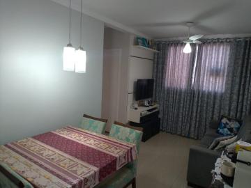 Alugar Apartamentos / Padrão em Ribeirão Preto. apenas R$ 160.000,00