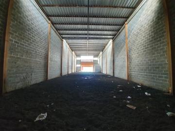 Alugar Comercial / Salão comercial em Ribeirão Preto R$ 4.500,00 - Foto 6 Alugar Comercial / Salão comercial em Ribeirão Preto R$ 4.500,00 - Foto 6