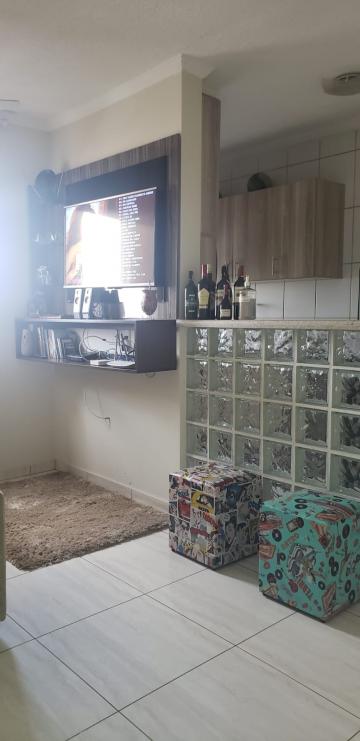 imagem 1 - Apartamento para Locação no Bairro Campos Elísios, no Condomínio Mais Campos Elísios, em Ribeirão Preto/SP imagem 1 - Apartamento para Locação no Bairro Campos Elísios, no Condomínio Mais Campos Elísios, em Ribeirão Preto/SP