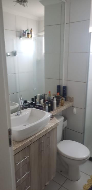imagem 4 - Apartamento para Locação no Bairro Campos Elísios, no Condomínio Mais Campos Elísios, em Ribeirão Preto/SP imagem 4 - Apartamento para Locação no Bairro Campos Elísios, no Condomínio Mais Campos Elísios, em Ribeirão Preto/SP