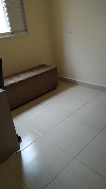 imagem 5 - Apartamentos - Padrão imagem 5 - Apartamentos - Padrão
