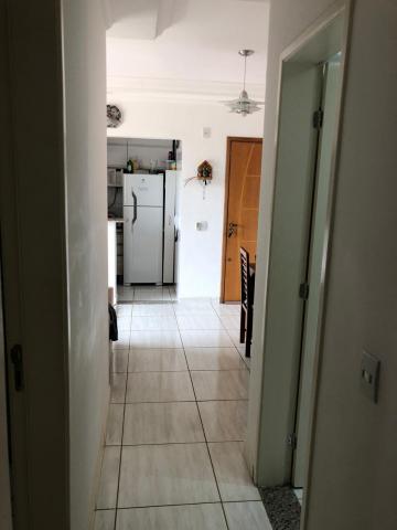 imagem 4 - Apartamentos - Padrão imagem 4 - Apartamentos - Padrão