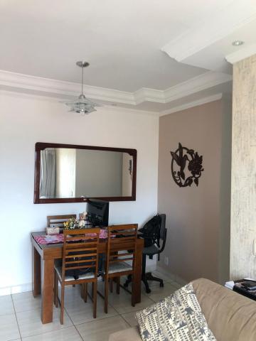 imagem 2 - Apartamentos - Padrão imagem 2 - Apartamentos - Padrão