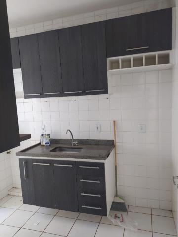 imagem 4 - Apartamentos - Padrão imagem 4 - Apartamentos - Padrão