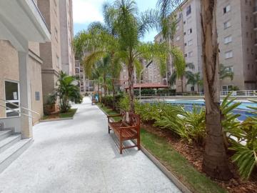 imagem 2 - Apartamentos - Padrão imagem 2 - Apartamentos - Padrão