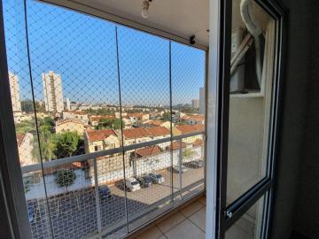 imagem 4 - Apartamentos - Padrão imagem 4 - Apartamentos - Padrão