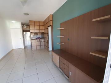 imagem 5 - Apartamentos - Padrão imagem 5 - Apartamentos - Padrão