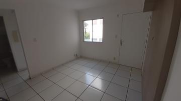 imagem 3 - Apartamentos - Padrão imagem 3 - Apartamentos - Padrão