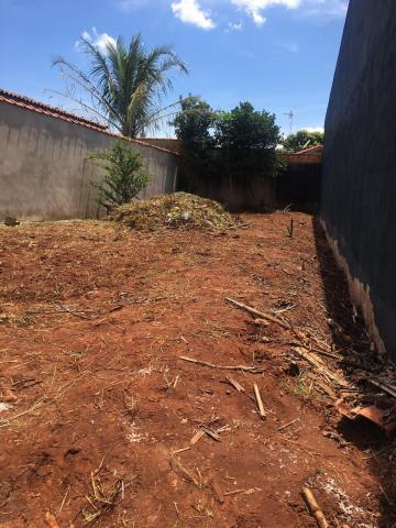 imagem 3 - Terrenos - LoteTerreno imagem 3 - Terrenos - LoteTerreno