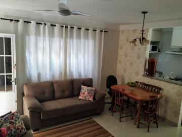 imagem 5 - Apartamentos - Padrão imagem 5 - Apartamentos - Padrão